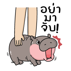 เจ้าหมูดึ๋ง : ลูกฮิปโปน่ารัก V.1 แบบบิ๊ก