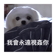 啾是這樣