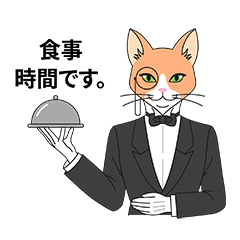 A Cat Butler Alfredo