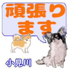 Komigawa's letters Chihuahua