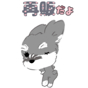 (resale)pop-up schnauzer mugi