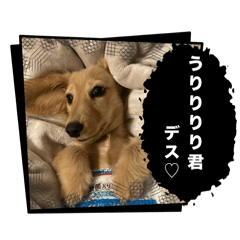 siro_20241024211639