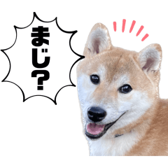 Dan_20241024212505