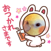 Minato_20241024214230