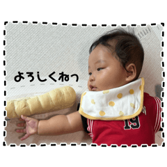 pocomo_20241024225806