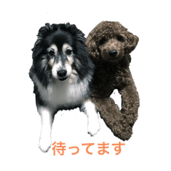 Isa_20241025091357