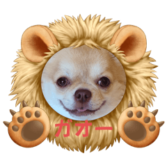 chiwa-Taro_20241024232831