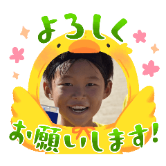 syo_20241025134129
