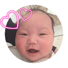 piko_20241025142757