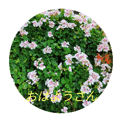 10yoko_20241025110718