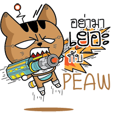 PEAW Robot cat e