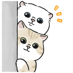 Oba cat11 - white cat sticker