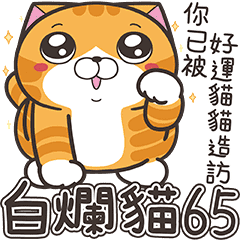 白爛貓65☆幸運星☆