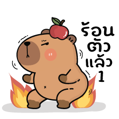 คาปิบาร่าเอง V.16 : คาปิหมามะพร้าว