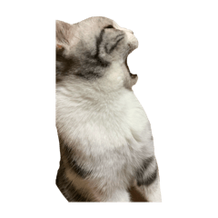 saltsama_20241025193207