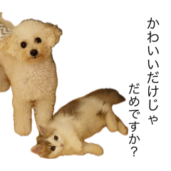 rina_20241025231700 – LINE stickers | LINE STORE