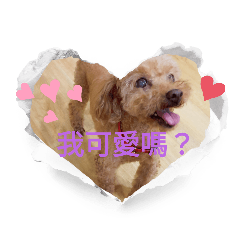 可愛Q胖
