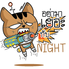 NIGHT Robot cat e
