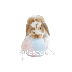 ABCDEFG_20241025184701