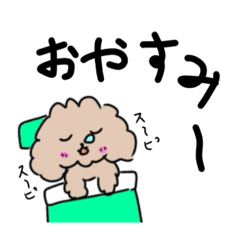 くるみんの日常2024_3