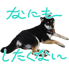 Tabichan_20241026095938