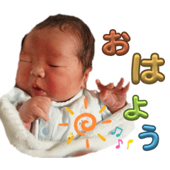 yreppi_20241026161213