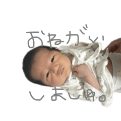 fukun_20241026160801