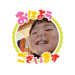 mite_20241026214641