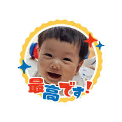 mite_20241026215044