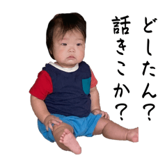 tanuko_20241026125131