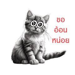คุณแมวแมวเดอะแก๊ง