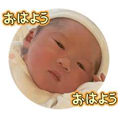 syo_20241026073546
