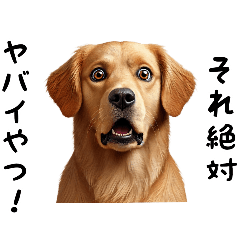 犬のゴールデンレトリバーのスタンプです。