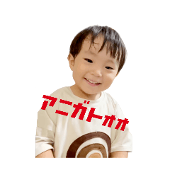 130_20241026210841