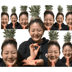 mireo_20241026124251