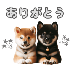 よく使う！ モノクロ文字♡ 黒柴&柴犬