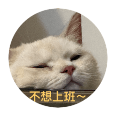 五月日常