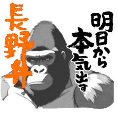 Powerful Gorilla - Nagano dialect