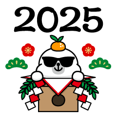 Sunglasses Seal @ New Year 2025