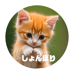 momorinko_catstamp