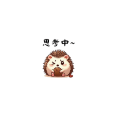 Cute hedgehog's daily