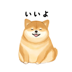 Cute fat brown Shiba Inu