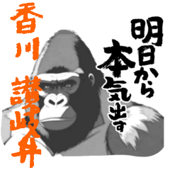 Powerful Gorilla - Kochi Dialect