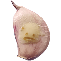 Rotten Garlic Horrible