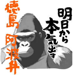 Powerful Gorilla in Tokushima dialect