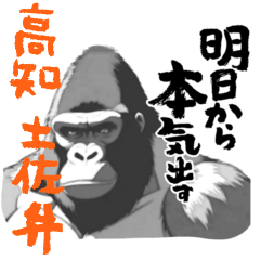 Powerful Gorilla - Tosa Dialect