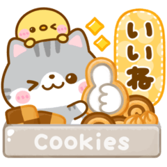 sweets mameshiba CAT