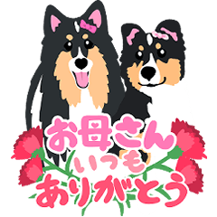 Sheltie Sticker Seasonal Limited Edition