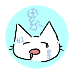 milk cat_20241026190959