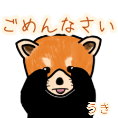 Uki's lesser panda